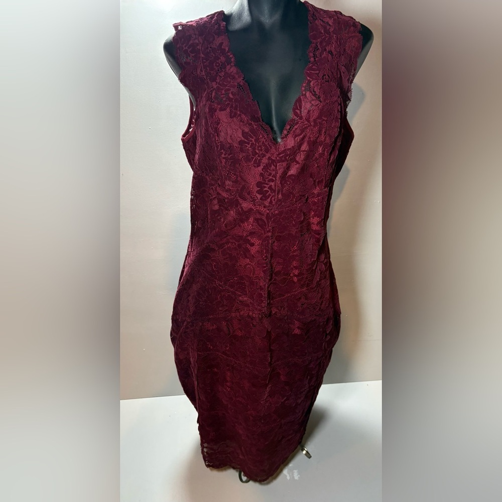 Guess Burgundy - Red Lace and Velvet Dress - Picture 3 of 9